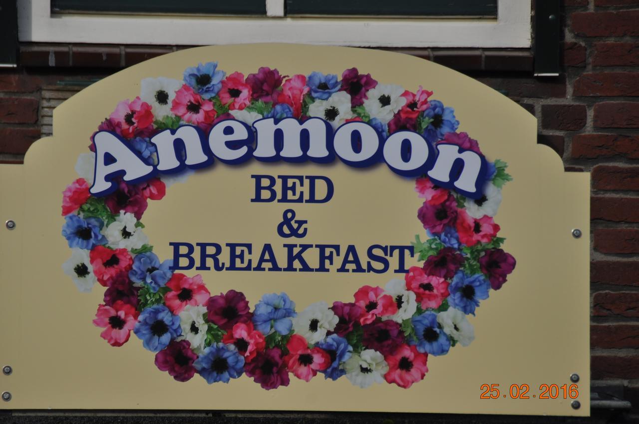 ירסקה B&B Anemoon מראה חיצוני תמונה